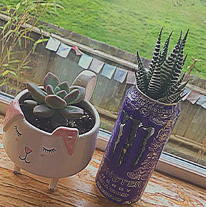 Meet your Posher, Jojo